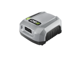 EGO Ladegerät CHX5500E Pro X Serie Schnelllade- und Standardladeprozess