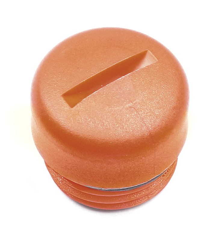 LOCKING SCREW CPL