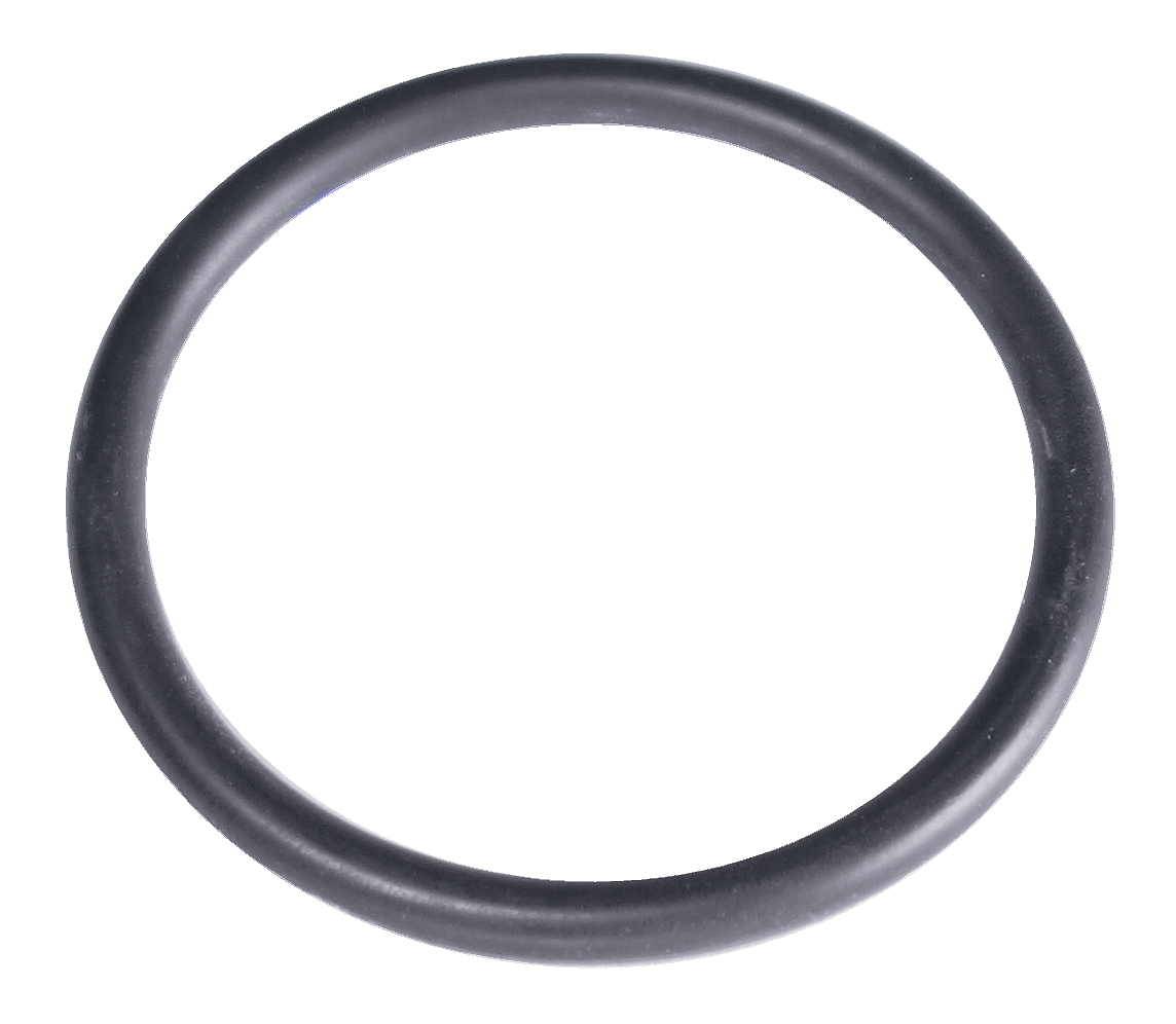 O-RING 1"