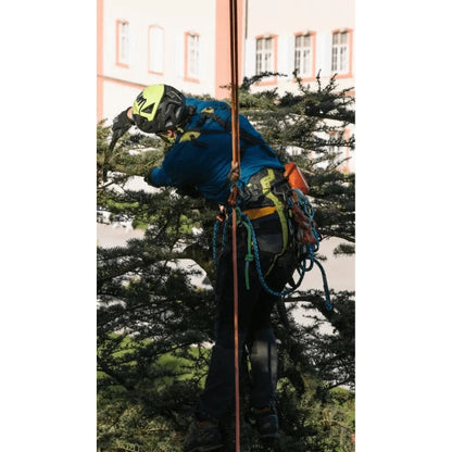 Edelrid Klettergurt TreeRex - Jetzt Edelrid bei kaisers.jetzt