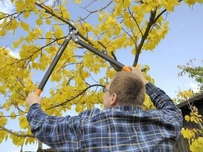 Fiskars Astschere L76 - Jetzt Fiskars bei kaisers.jetzt