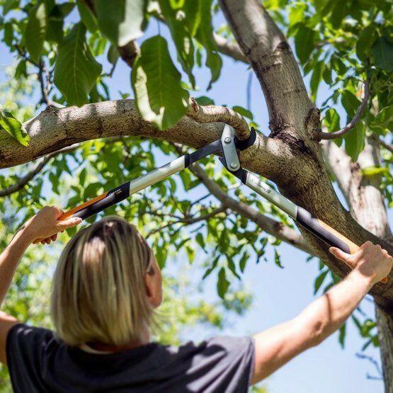 Fiskars M LX94 Astschere - Jetzt Fiskars bei kaisers.jetzt