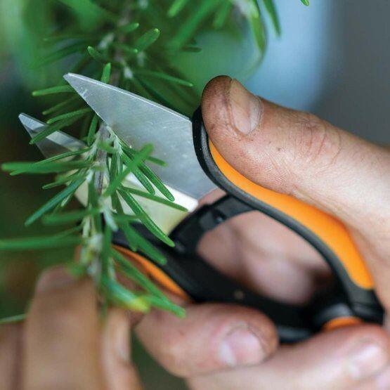 Fiskars Solid Krauter Snip SP-220 - Jetzt Fiskars bei kaisers.jetzt