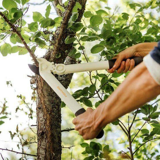 Fiskars White Astschere L32 - Jetzt Fiskars bei kaisers.jetzt