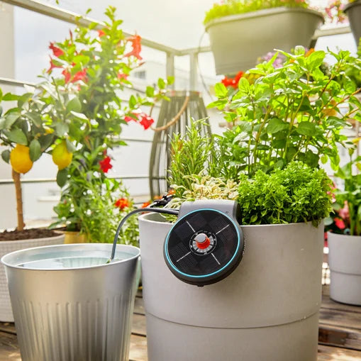 GARDENA Urlaubsbewässerungs-Set AquaBloom in Aktion