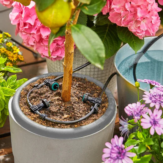 GARDENA Urlaubsbewässerungs-Set AquaBloom in Aktion 