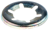 SCHEIBE