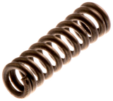 SICHERUNGSFEDER