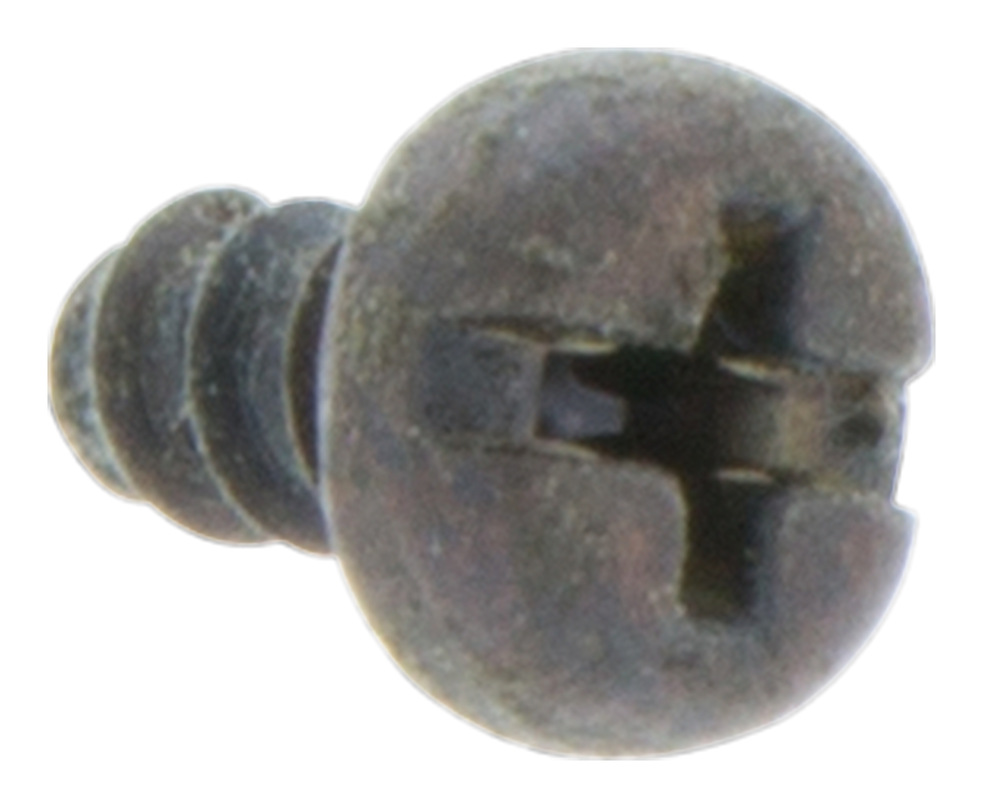 SCHRAUBE-CCRPANT