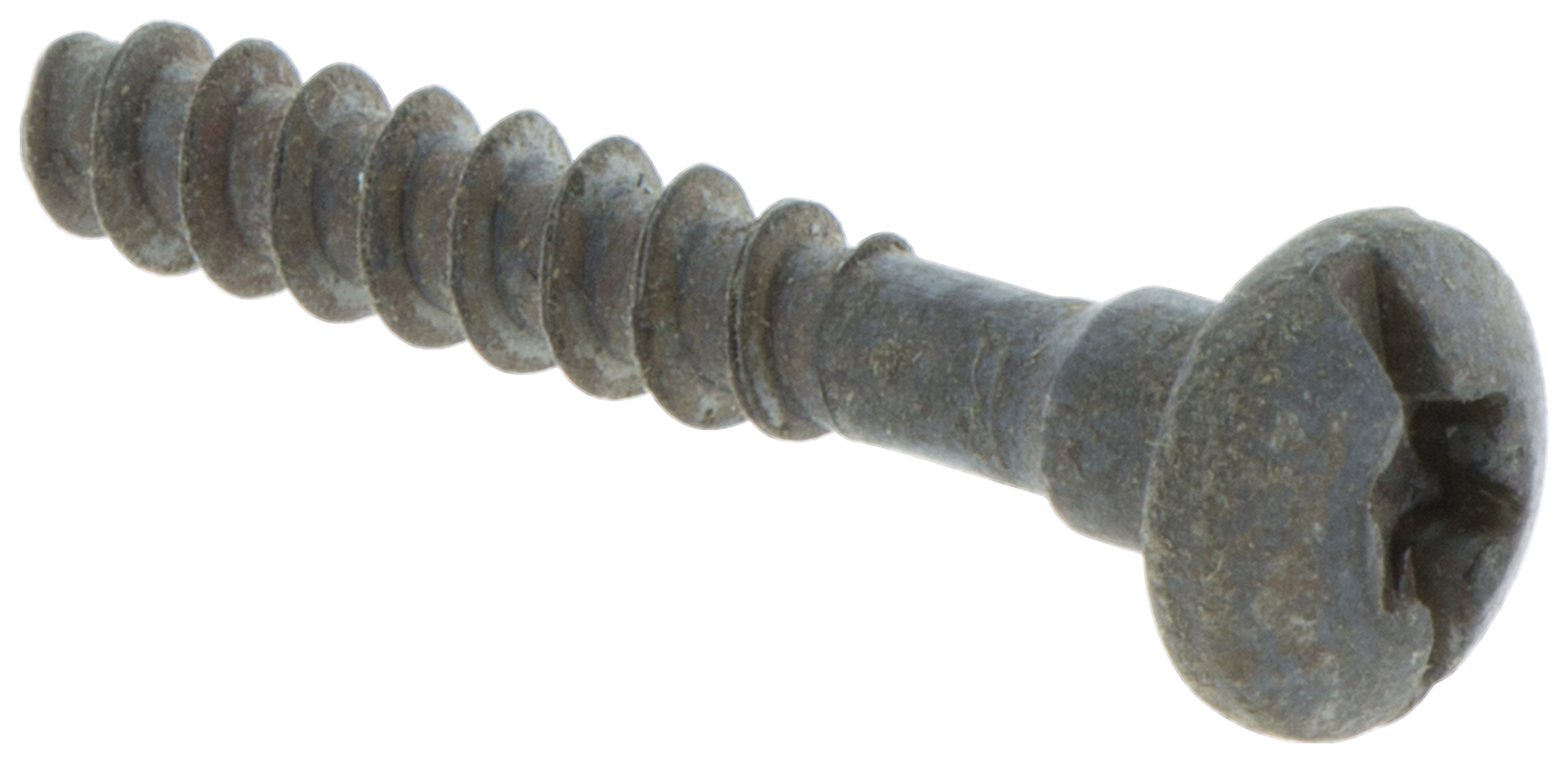 SCHRAUBEN CITXPANT