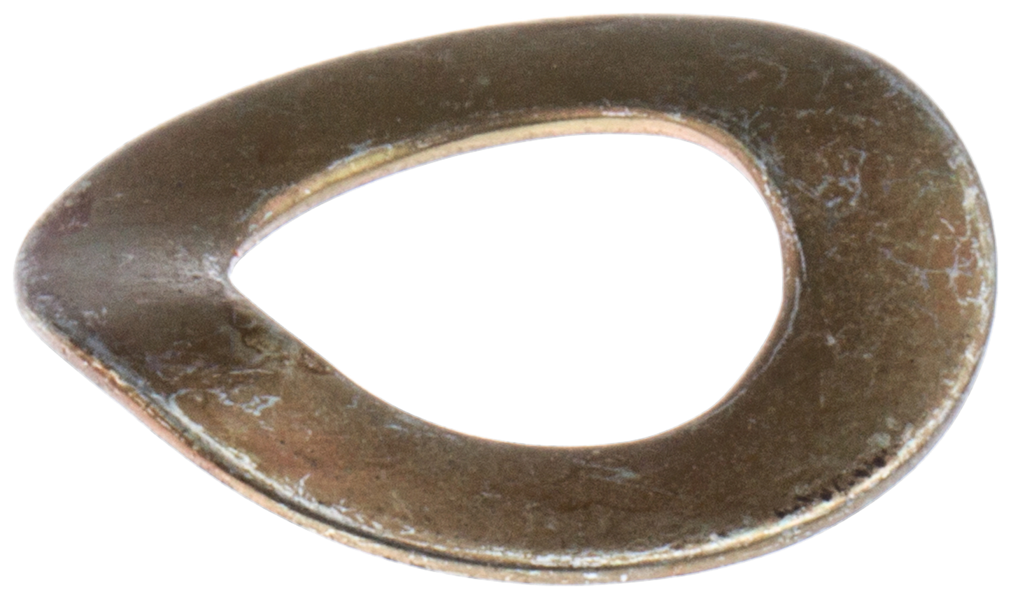 SCHEIBE