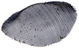 NETZ