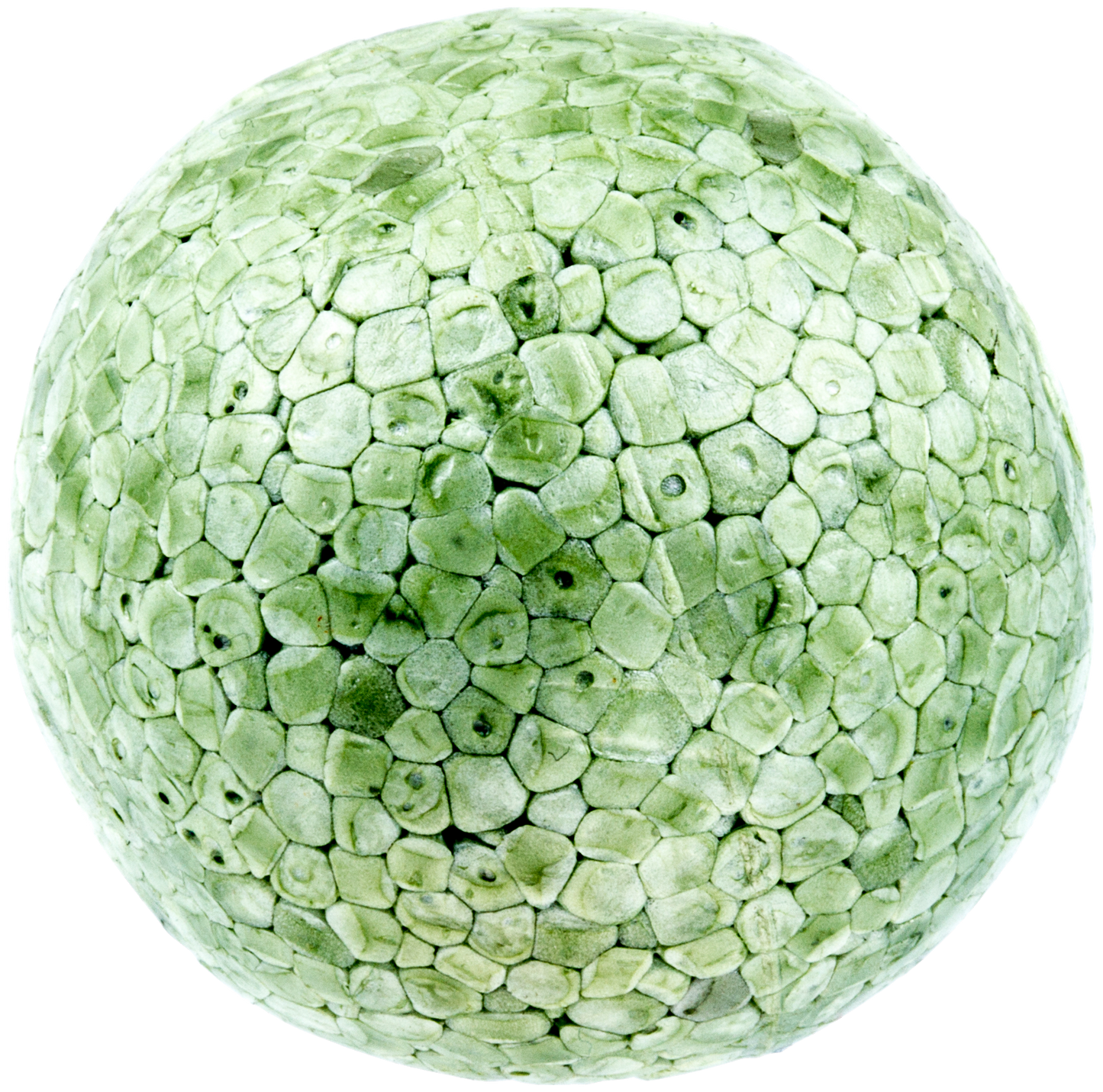KUGEL