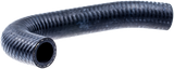 SCHLAUCH