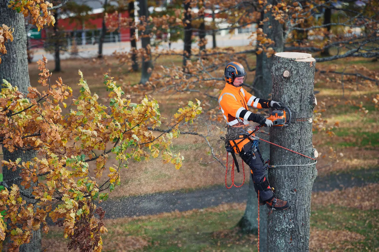 Husqvarna Akku-Kettensäge 550i XP® G  - 38,1 cm in Aktion 