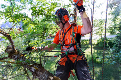 Husqvarna Akku-Kettensäge T535i XP Einzelgerät - 30–35 cm in Aktion
