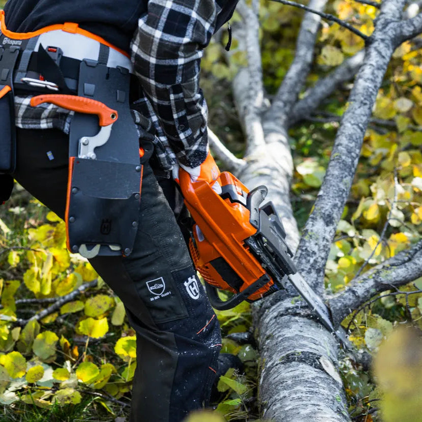 Husqvarna Benzin-Kettensäge 445S - 38 cm in Aktion beim Zersägen eines Baumstamms