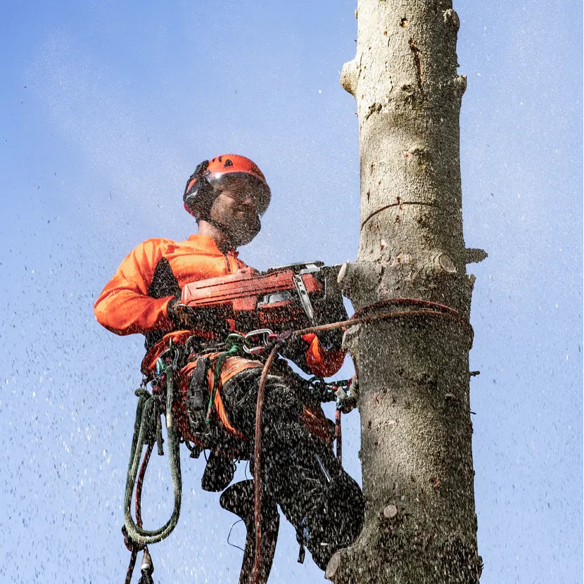 Husqvarna Benzin-Kettensäge 545 Mark II - 45 cm in Aktkion