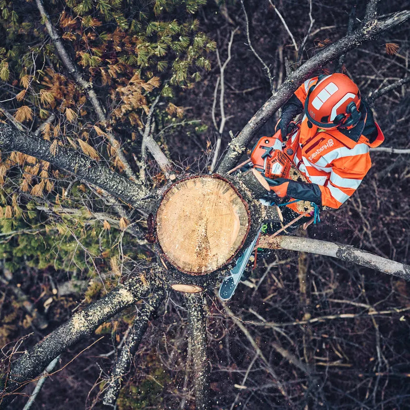 Husqvarna Benzin-Kettensäge 562 XP® G Mark II - 45 cm in Aktion