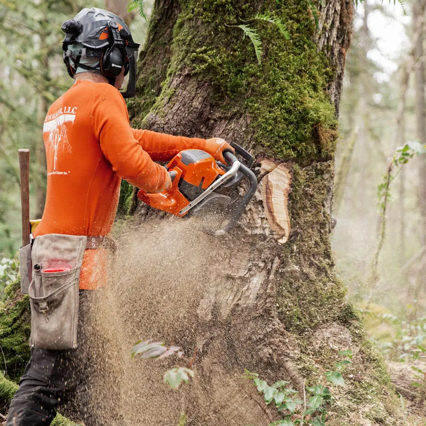 Husqvarna Benzin-Kettensäge 592 XP G - 60 cm in Aktion