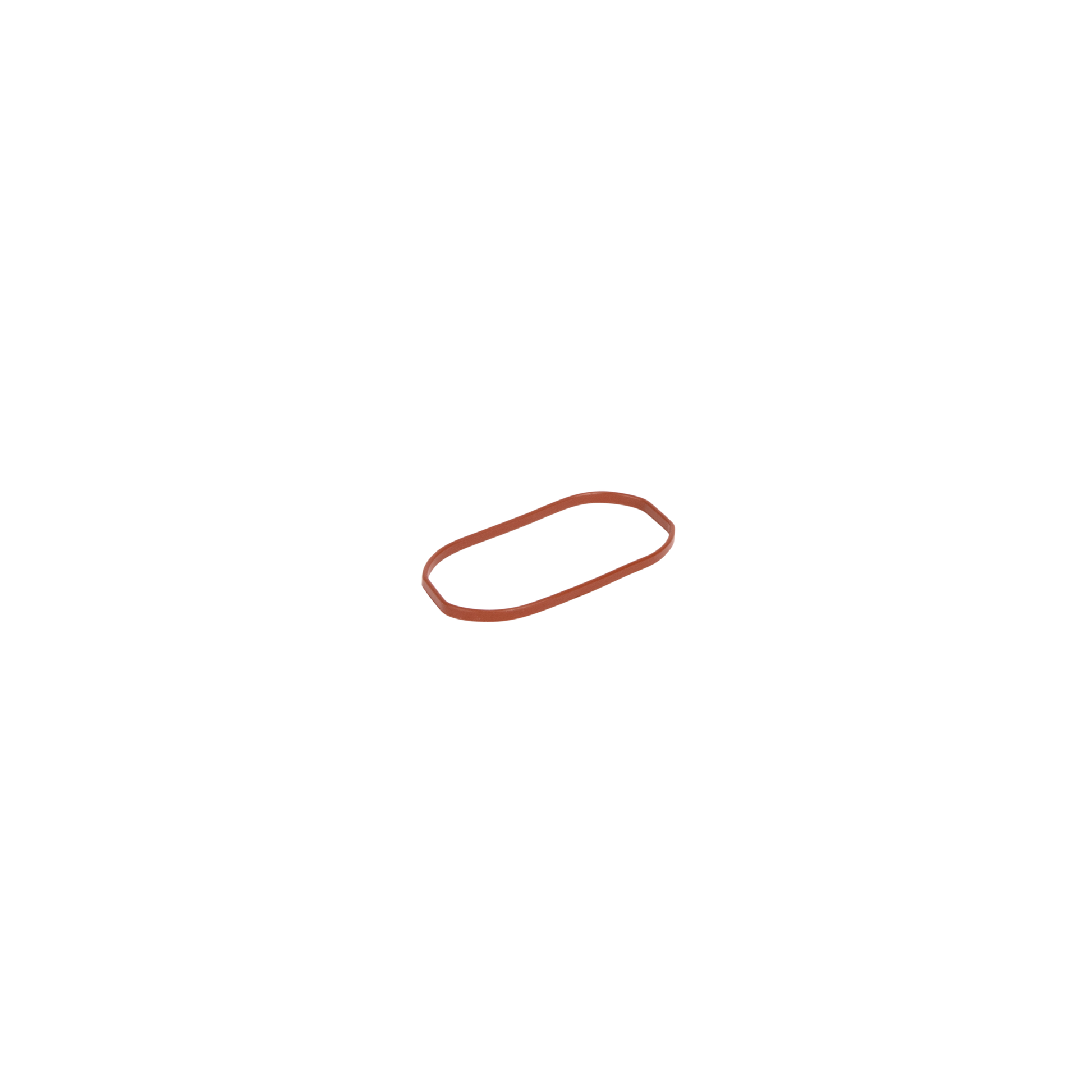 DICHTUNGSRING