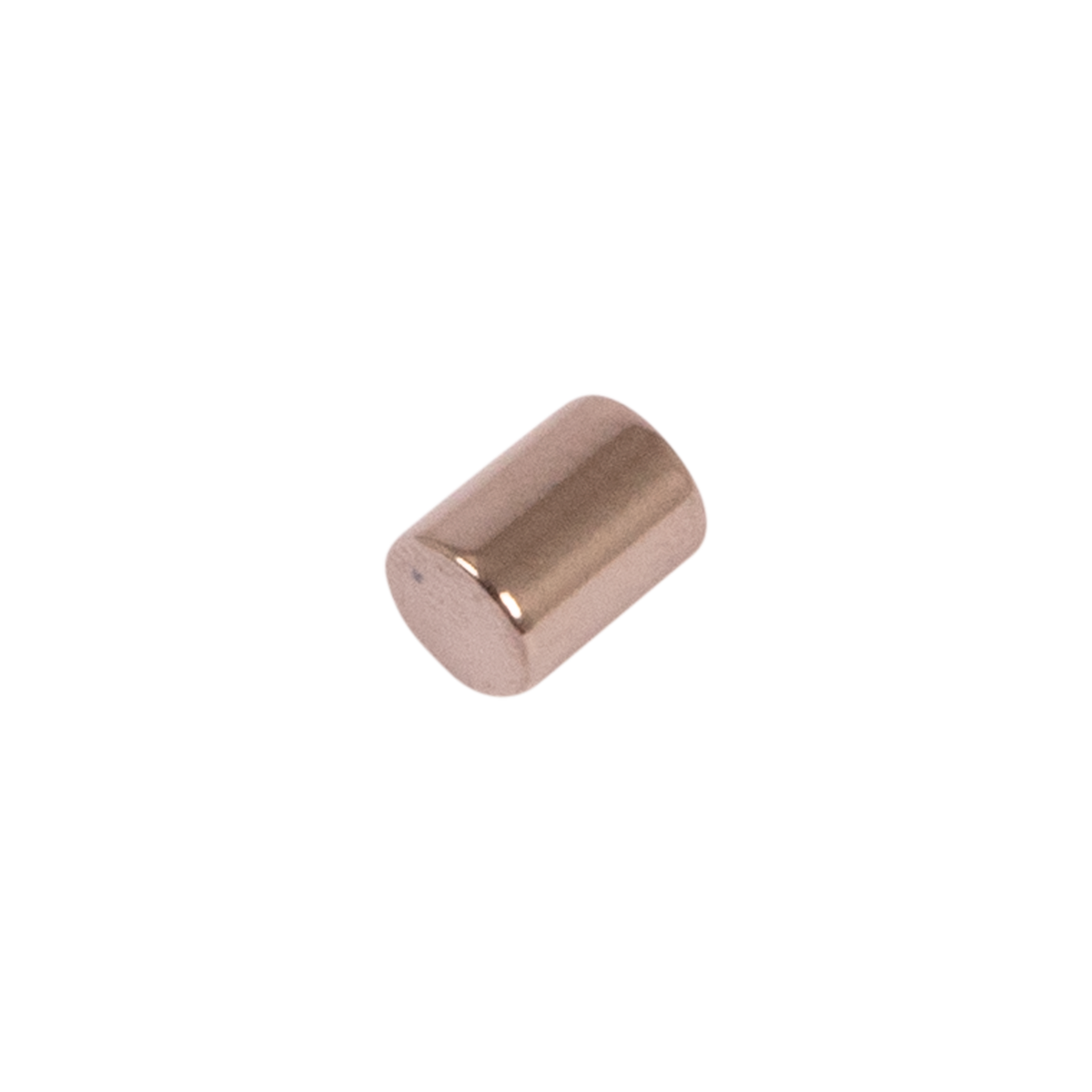 MAGNET