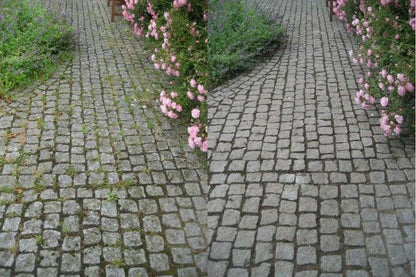 Kwern Benzin-Unkrautbürstenmaschine Greenbuster  Vorher/Nachher