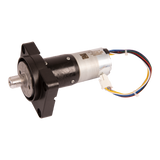 RAD MOTOR