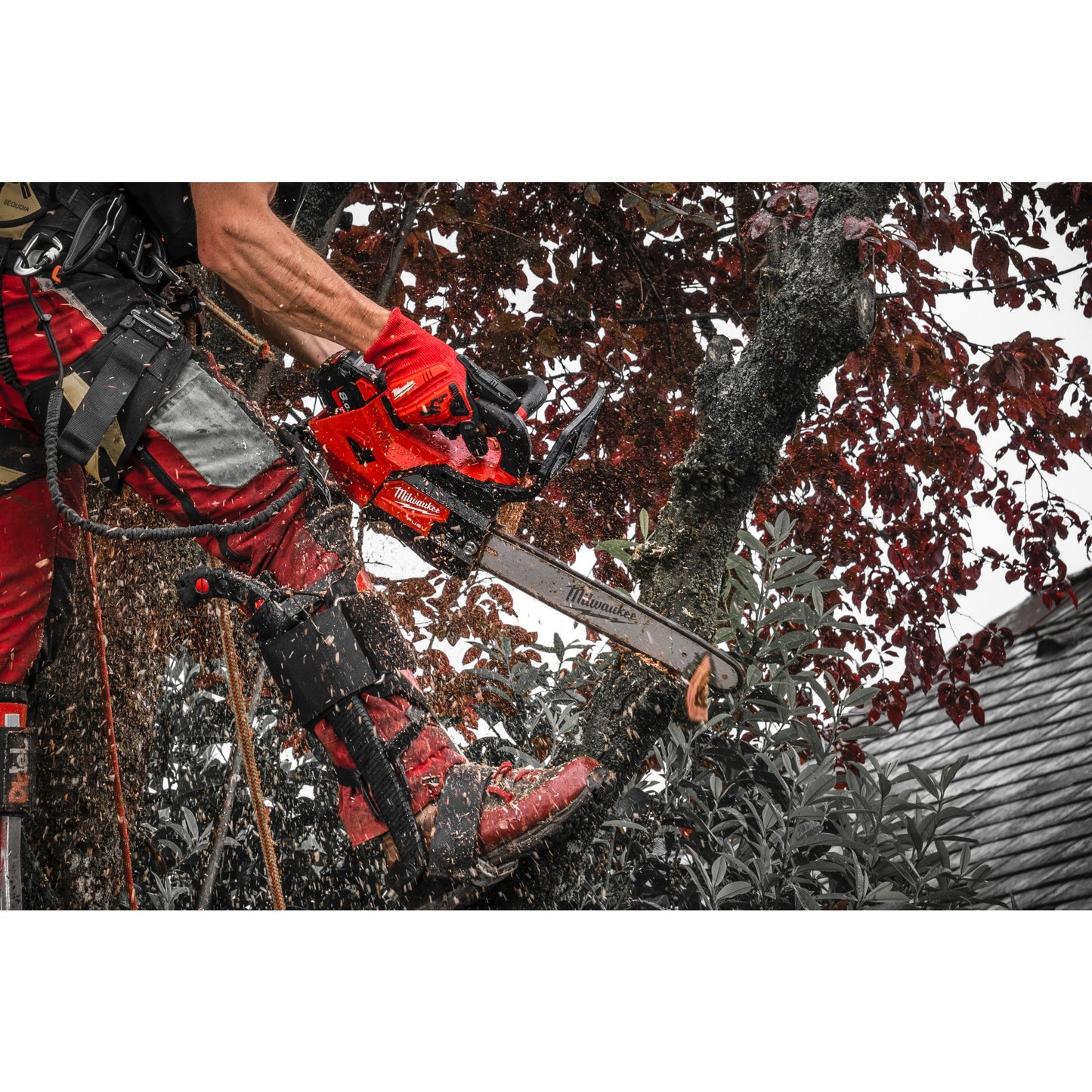 Milwaukee Akku-Kettensäge mit Obergriff M18™ FUEL™ - 30 cm in Aktion 