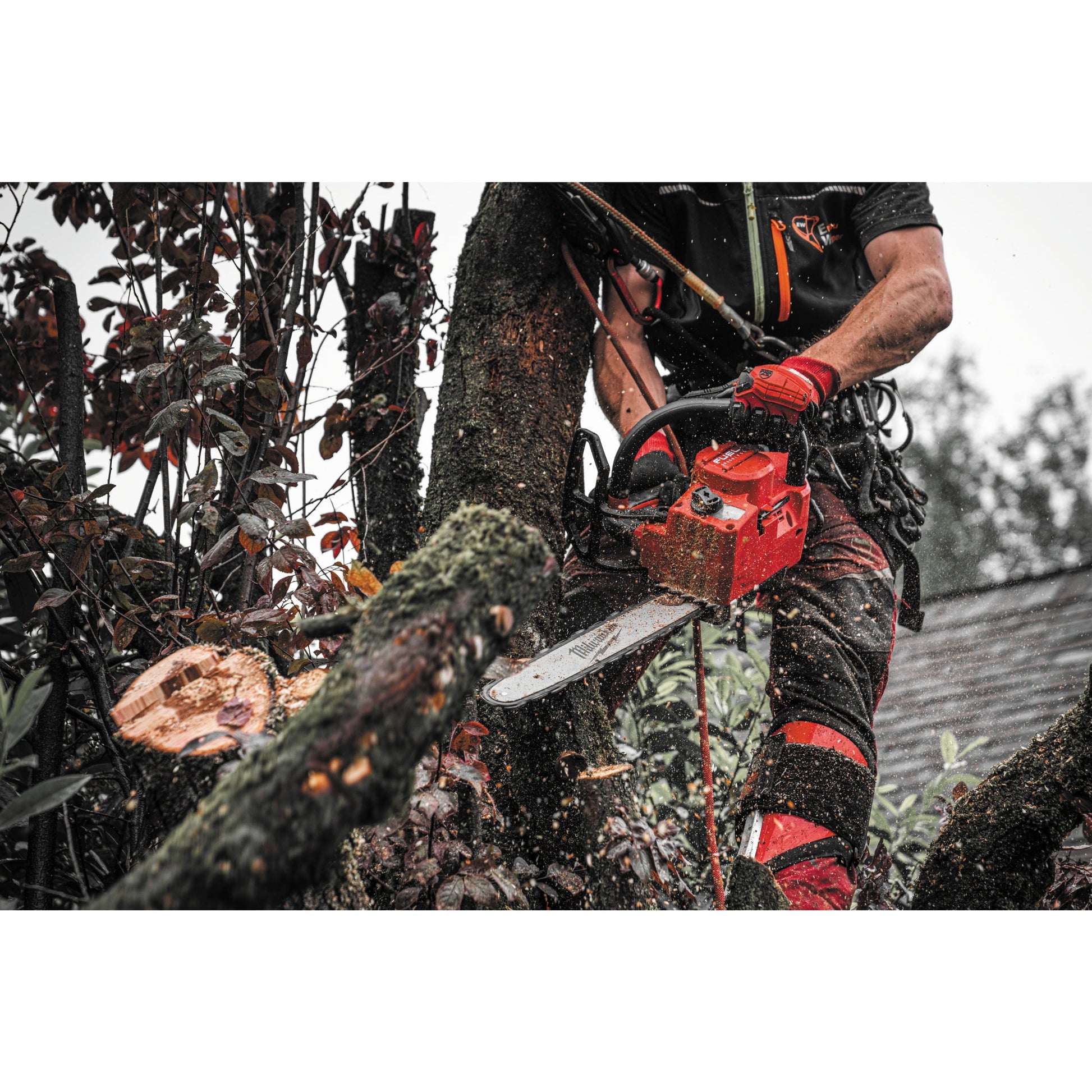 Milwaukee Akku-Kettensäge mit Obergriff M18™ FUEL™ - 30 cm in Aktion 4