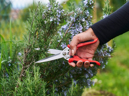 FELCO 456 Multifunktionsschere