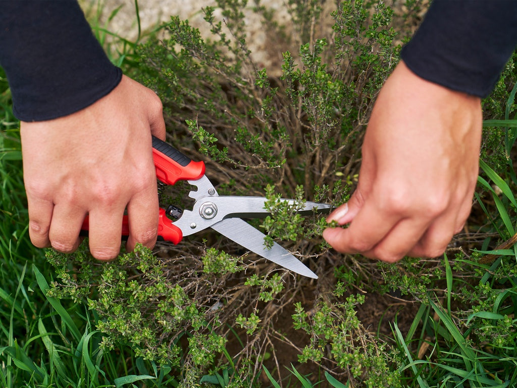 FELCO 456 Multifunktionsschere