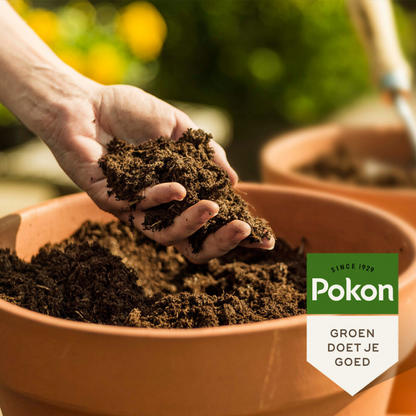 Pokon Bio-Perlit - 6 Liter