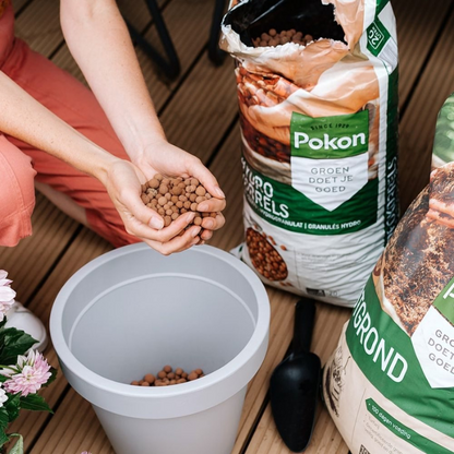 Pokon Blähton - 5 Liter