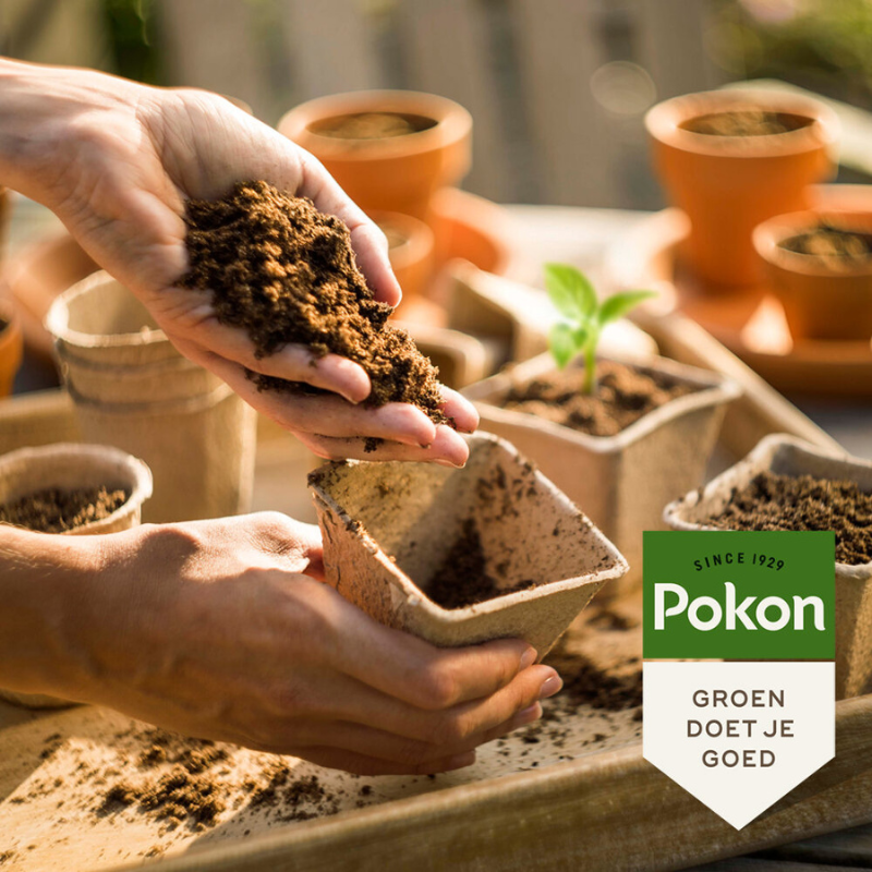 Pokon Bewurzelungspulver - 25 g