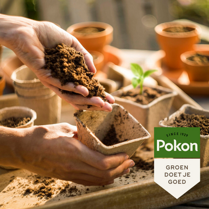 Pokon Bewurzelungspulver - 25 g