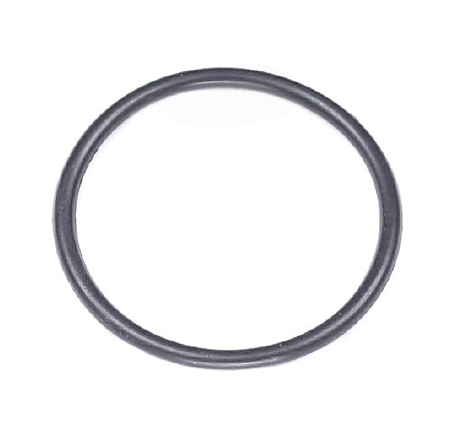 O-RING 1"