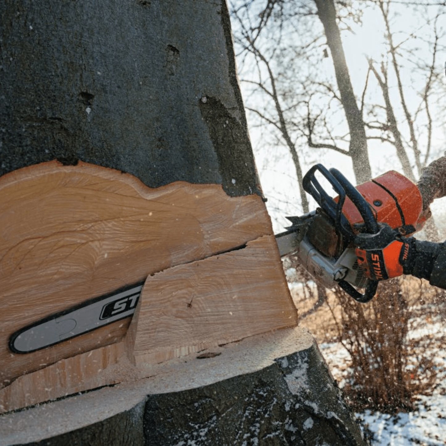 STIHL Benzin-Kettensäge MS 661 C-M - Jetzt STIHL bei kaisers.jetzt
