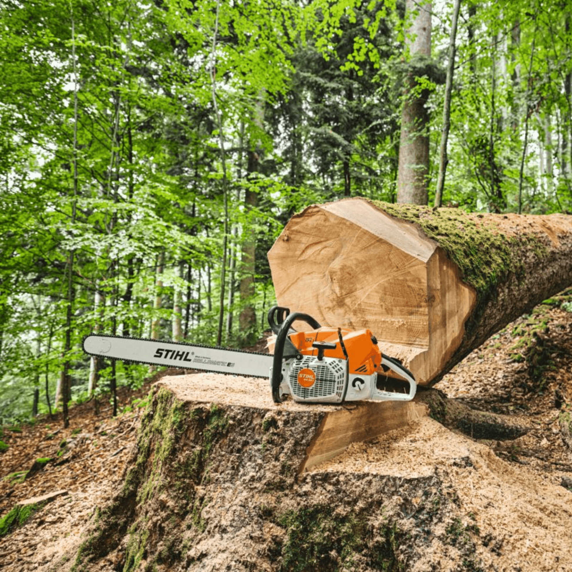 STIHL Benzin-Kettensäge MS 881  - Jetzt STIHL bei kaisers.jetzt