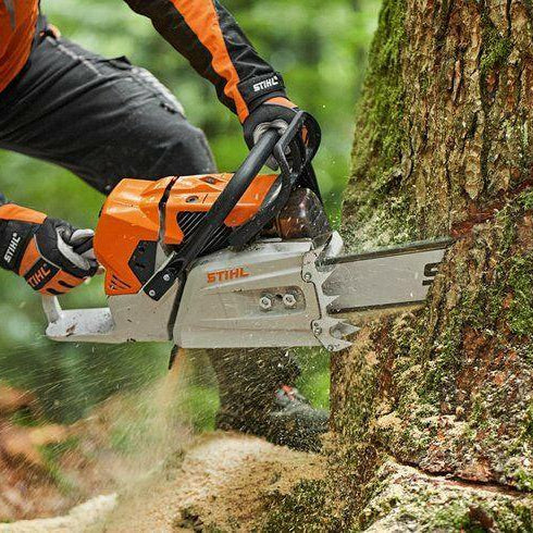 STIHL Benzin-Kettensäge MS 881 in Aktion beim Sägen im Wald - Jetzt STIHL bei kaisers.jetzt