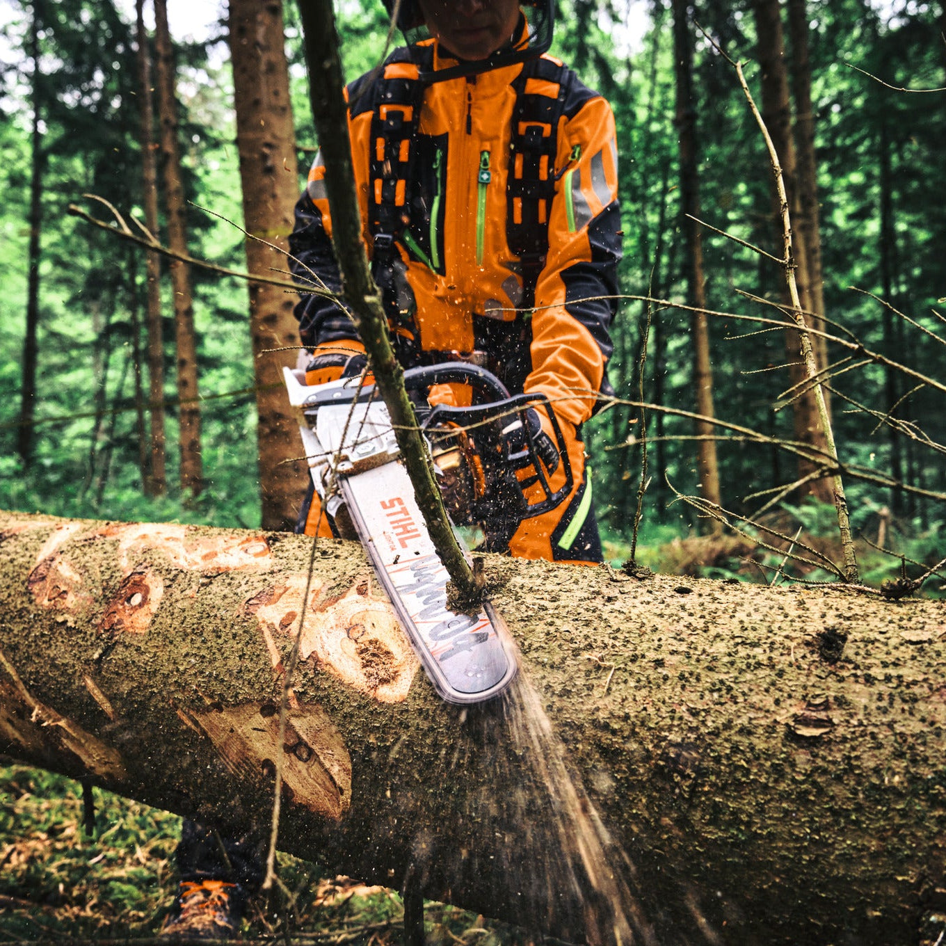 STIHL Benzin-Motorsäge MS 300 C‑M RS Pro - 35 cm in Aktion