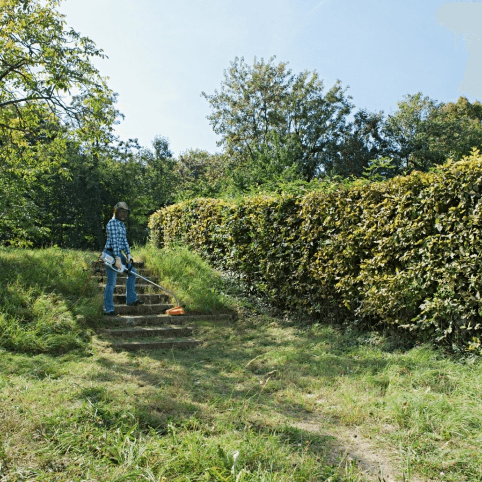 STIHL Elektro-Rasentrimmer FSE 81 in Aktion
