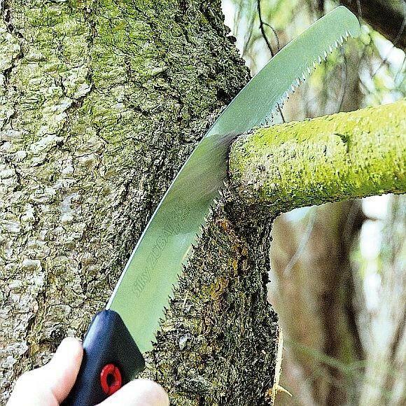 Silky Astsage Zubat 300-7.5 - Jetzt Silkybei kaisers.jetzt