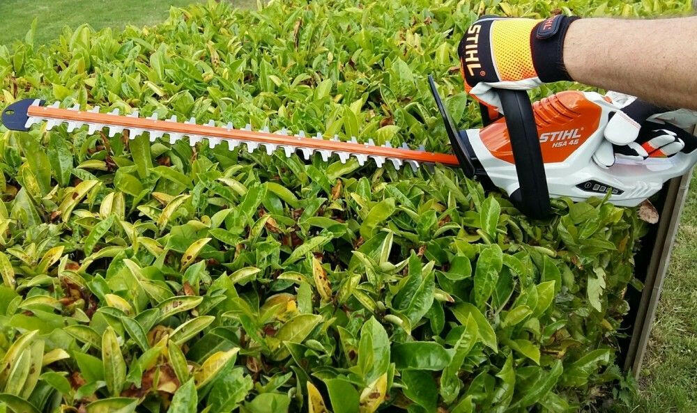 Stihl Akku-Heckenschere HSA 45 - 50 cm inkl. Akku Akku und Ladegerät – DEMOMODELL - Jetzt Stihl bei kaisers.jetzt