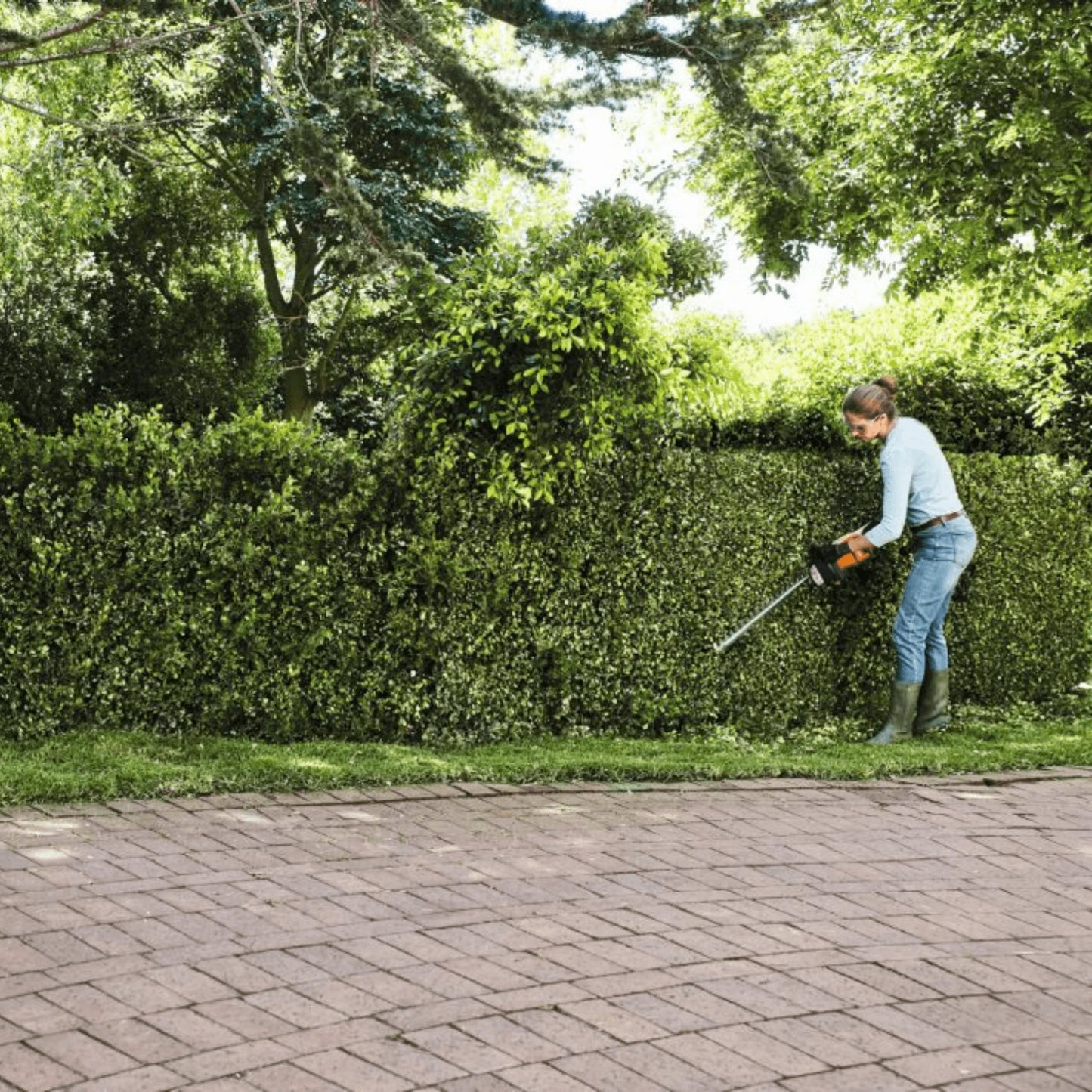 Stihl Akku-Heckenschere HSA 50 inkl. Akku und Ladegerät - Jetzt Stihl bei kaisers.jetzt