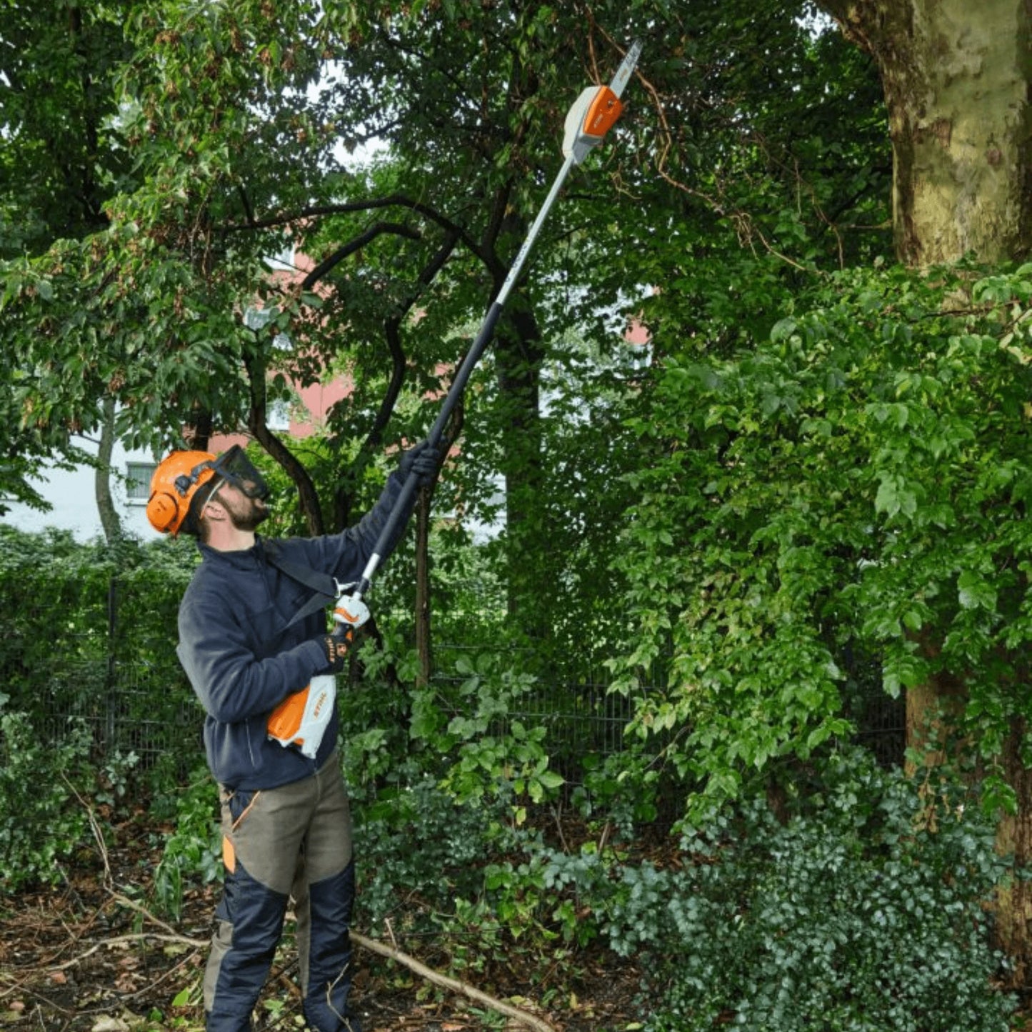 Stihl Akku-Hochentaster HTA 66 Einzelgerät - Jetzt Stihl bei kaisers.jetzt