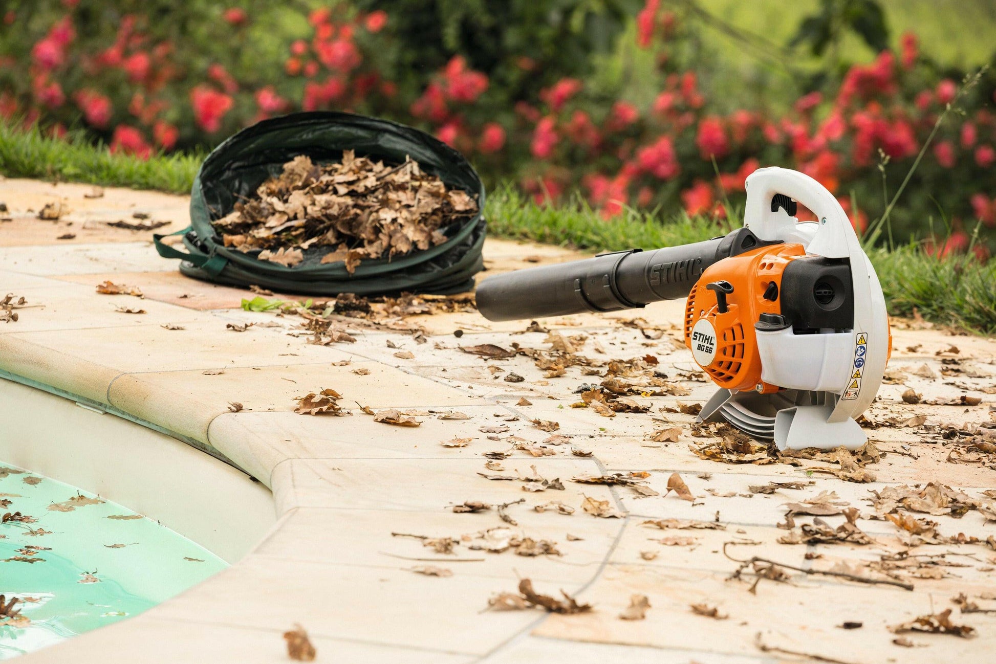 Stihl Benzin-Laubbläser BG 56 - Jetzt Stihl bei kaisers.jetzt