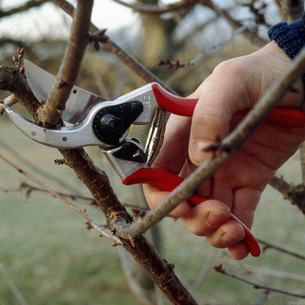 Stihl Gartenschere FELCO F 2 - Jetzt Stihl bei kaisers.jetzt