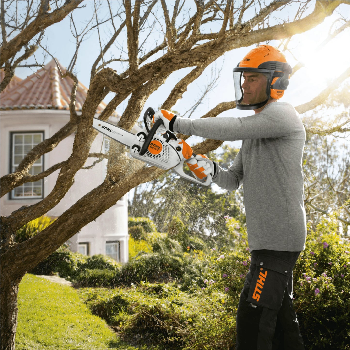 Stihl MS 151 C-E Benzin-Kettensäge - Jetzt Stihlbei kaisers.jetzt