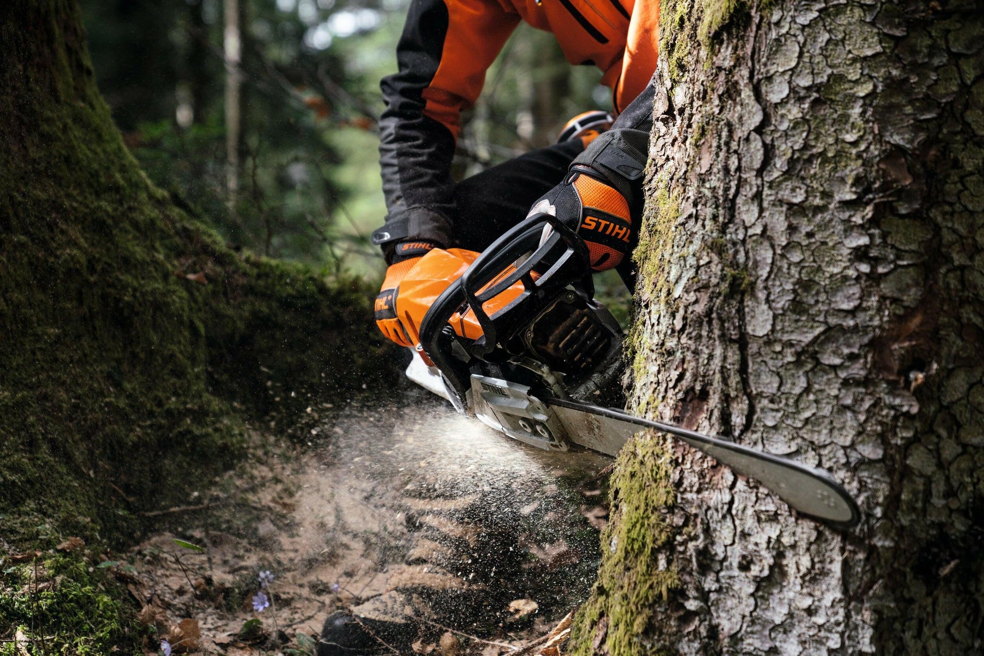 Stihl MS 400 CM Benzin-Kettensäge - Jetzt Stihlbei kaisers.jetzt